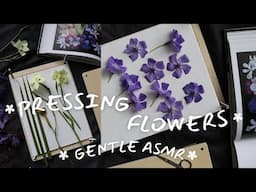 Pressing Wildflowers to the Birds Sound ASMR - Anxiety Relief through Nature - Floral Zen series