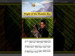 Flight of the Bumble Bee from my new album alongside an old video of a young me playing it on TV!