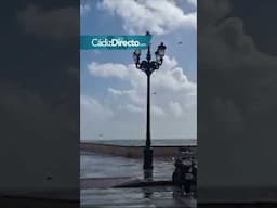 Borrasca Konrad en Cádiz #borrasca #cadiz
