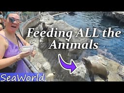 We Fed ALL the Animals at SeaWorld!
