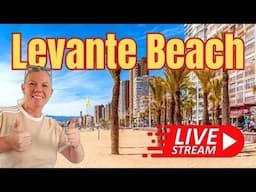 benidorm stuff is live