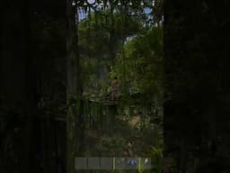 new vine features and new jungle tree rust staging