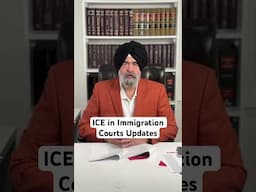 ICE in Immigration Courts Updates