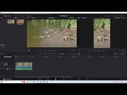 DaVinci Resolve Tutorial: How Create Portrait Videos From Landscape Videos For YouTube Shorts.