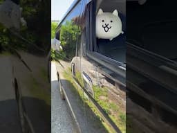 にゃんこ(ハイエース)