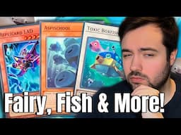 How Good are ALIN TCG Exclusives & Imports?