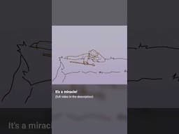 it's a miracle Clip