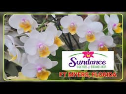 VISIT TO SUNDANCE ORCHID NURSERY. May 21, 2025