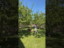 How to make a Hammockry #garden #backyard #hammock #outdoors #gathering #thyme #luxuryhotel #howto