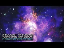 Quick Look: NASA Telescopes Deliver Stellar Bouquet in Time for Valentine's Day