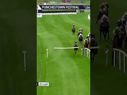 That's one way to jump an obstacle! #horse #horseracing #sport #britishhorseracing #racingtv