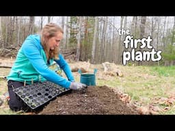 Planting berry bushes and flowers in our new food forest | Spring 2025