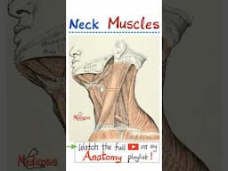 Muscles of Neck - Anatomy of Head & Neck...#doctor #nurse  #anatomy #physiology #biology #surgery