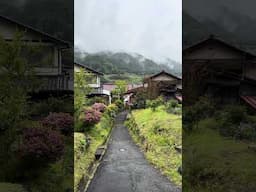 Beautiful Japan #japan #walkingtour #travel #shorts