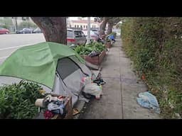 Homeless encampments surrounding the Venice post office. Illegally placed planters aren't helping.