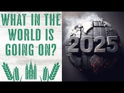 What in the World is Going On in 2025?