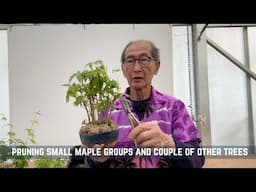 Pruning Small Maple Groups and Couple of Other Trees