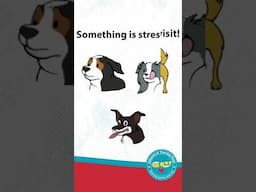 Understanding Your Dog's Body Language
