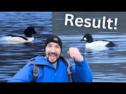 I went searching for a RARE BIRD - Something even RARER appeared!