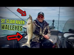 St. Clair River Walleye Jigging with BONDY WORMS!!