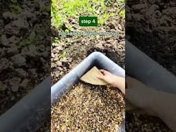 Building a mini wildlife pond #pondbuild #ponds #DIY #wildlife
