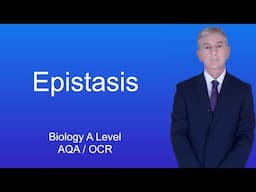 A Level Biology (Year 13) "Epistasis"