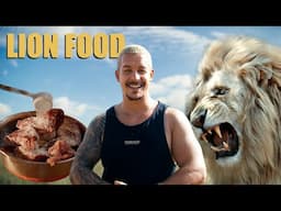 Why Our Lions Are So Strong – It’s in the Food!