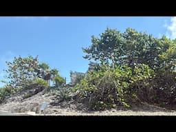 Exploring a Mayan Temple live! (Lost signal after 50 seconds)