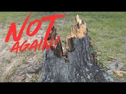 Another Tree Fell