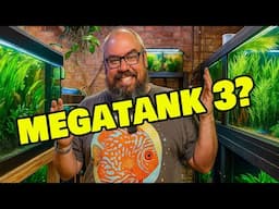 Fish Room Dilemma: Do I Need Another Megatank?
