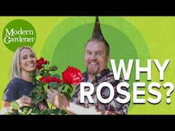 Can Roses Clean the Air and Save Water?