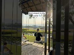 Is this the worlds best airport? ✈️ Koh Samui Airport Thailand 🇹🇭