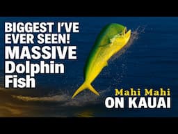 Catching the Biggest Mahi Mahi Ever! Giant Dolphin Fish Off Kauai.