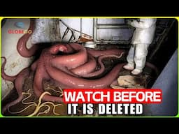 Scientists STUNNED by What He Discovered In INSIDE CHERNOBYL’S Abandoned Hospital - Documentary