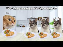 CAT MEMES Family Road Trip to Picnic