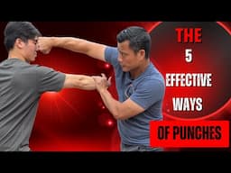 5 Most Effective Punching Techniques Every Fighter Should Learn (PART 1)