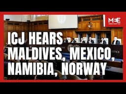 Watch in Full: ICJ hears Maldives, Mexico, Namibia and Norway on Israel’s obligations