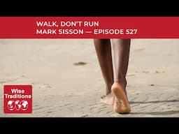 Walk, Don’t Run And Other Important Health Shifts With Mark Sisson Episode 527