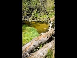 Fly Fishing a Small Stream in Brushy Conditions, a breakdown