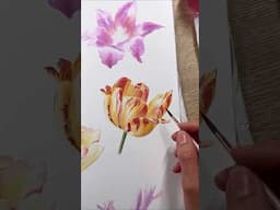 Did you know that this kind of Tulip is a virus? 🤩 But I think it is one of the best Tulips #art