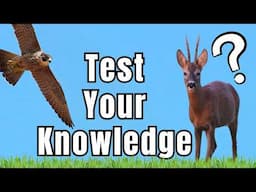 Can you Answer these 8 Wildlife Questions Correctly? --- Wildlife Quiz of the Week!