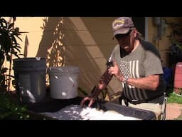 The perfect growing medium for your plants