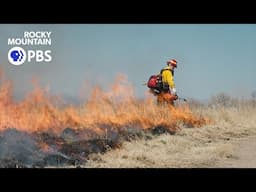 After decades of fire suppression, experts eye prescribed burns