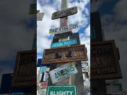 One of the Quirkiest Roadside Attractions on the Alaska Highway