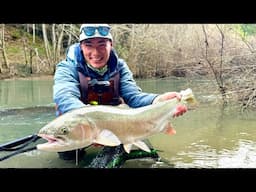 Drifting Deep into the Forest for WILD CALIFORNIA STEELHEAD