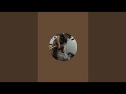 Famous Shamus Experience  is live!