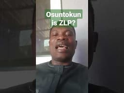 Labour Party or Zenith Labour Party? Akin Osuntokun