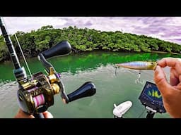 The BEST Way to Catch a Barra!
