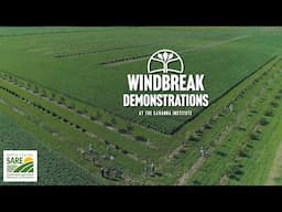 Windbreak Demonstrations at the Savanna Institute | Agroforestry In Practice