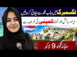 Luxembourg🇱🇺 5 years Work Visa How to apply Online 2025 #europe #job